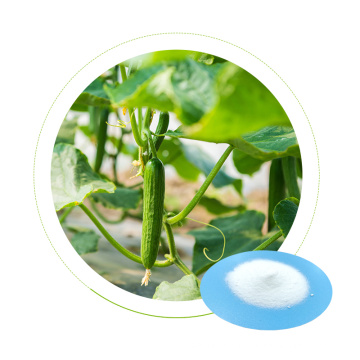 Доктор AID KNO3 Низкая цена нитратные удобрения калия для садового риса растений